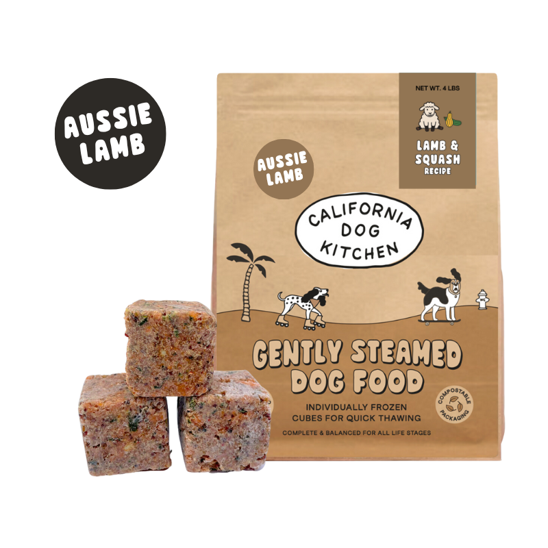 Illustration of Puppy Food With Squash And Lamb