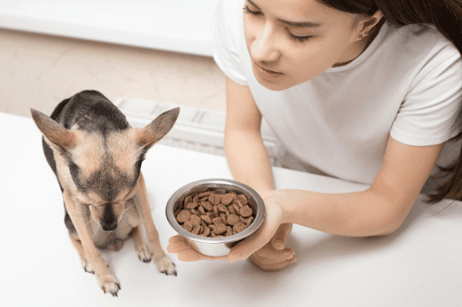 The Best Dog Food for Picky Eaters: Satisfy Your Fussy Pup’s Appetite