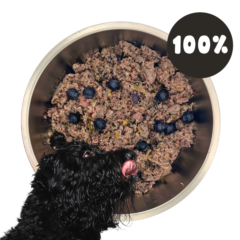 View of Beef Dog Food – Gently Cooked with Quinoa – California Dog Kitchen